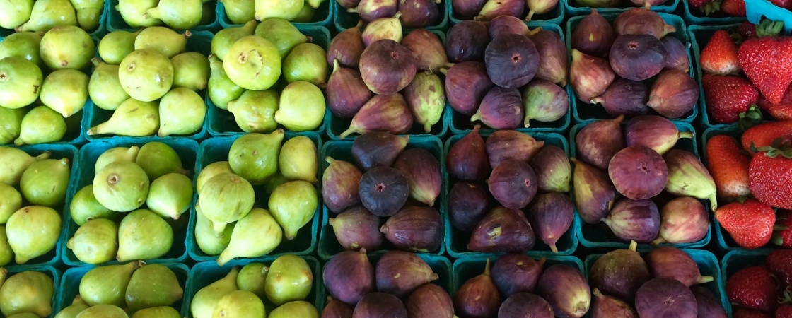 Fruits marché Dordogne